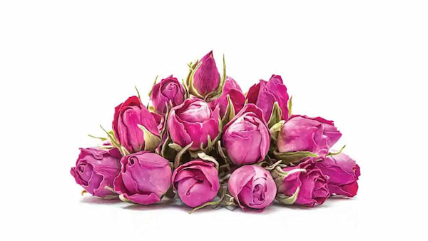 تصویر 3 از غنچه گل محمدی غنچه گل محمدی تلفیق زیبایی و عطر طبیعی